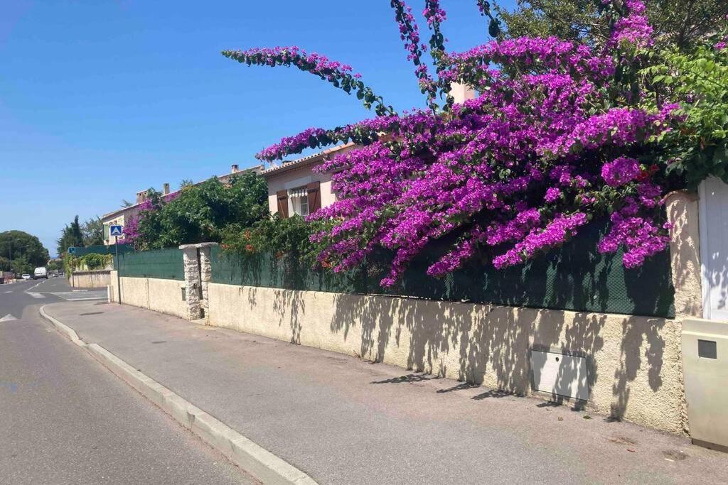 Magnifique Villa Avec Piscine Villeneuve-les-Maguelonne Exterior photo